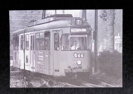 Cp, Chemin De Fer, Gros Plan Sur Le Mongy, 59, Tramway Articulé Düwag 375, Station Brossolette à Marcq En Baroeul - Strassenbahnen