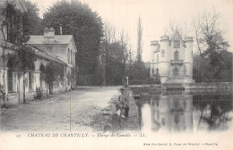 60-CHANTILLY LE CHÂTEAU-N°5188-D/0127 - Chantilly
