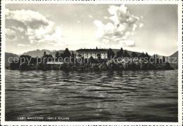 72365676 Isola Madre Lago Maggiore Lago Maggiore Isola Madre Lago Maggiore - Autres & Non Classés