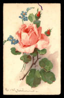 ILLUSTRATEURS - KLEIN CATHARINA - ROSE - Klein, Catharina