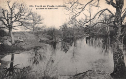 77-FONTAINEBLEAU LA FORET LA MARE DE FRANCHARD-N°5188-G/0197 - Fontainebleau