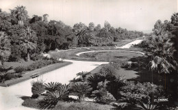 ALGERIE ALGER JARDIN D ESSAI  - Alger