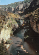 48-GORGES DU TARN-N°C-4346-D/0035 - Gorges Du Tarn