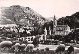 65-LOURDES-N°C-4346-C/0247 - Lourdes