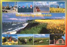 72364867 Schleswig Holstein Strand Hafen Muehle Schleswig - Schleswig