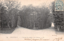 60 CHANTILLY L AVENUE DES AIGLES   - Chantilly
