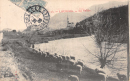 65 LOURDES LA VALLEE  - Lourdes