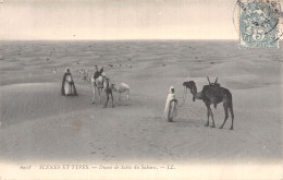 SCENES ET TYPES DUNES DE SABLE SAHARA  - Scènes & Types