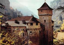 48-LE CHATEAU DE LA CAZE-N°C-4347-A/0033 - Sonstige & Ohne Zuordnung