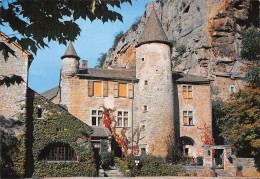 48-LE CHATEAU DE LA MALENE-N°C-4347-A/0037 - Autres & Non Classés