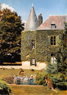 56-LE GUERNO CHATEAU DE BRANAFERE-N°C-4346-D/0297 - Other & Unclassified