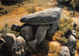 56-HERAVIAL LE DOLMEN-N°C-4346-D/0295 - Autres & Non Classés