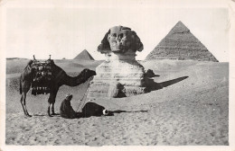 EGYPT LE SPHINX  - Sphynx