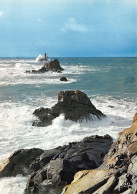 29-LA POINTE DU RAZ-N°C-4347-D/0063 - La Pointe Du Raz