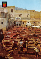 MAROC FES - Fez (Fès)