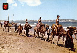 MAROC TANGER PLAGE - Tanger