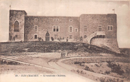 50-ILES CHAUSEY LE NOUVEAU CHÂTEAU-N°5190-A/0287 - Autres & Non Classés