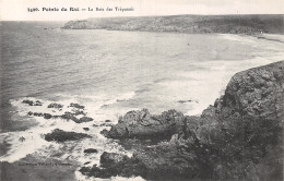 29-LA POINTE DU RAZ LA BAIE DES TREPASSES-N°5190-A/0227 - La Pointe Du Raz