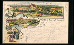 Lithographie Leutzsch-Barneck, Gasthof Waldhof Aus Der Vogelschau  - Other & Unclassified
