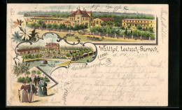 Lithographie Leutzsch-Barneck, Gasthof Waldhof Aus Der Vogelschau  - Autres & Non Classés