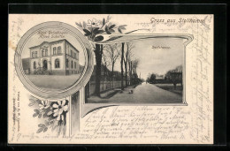 AK Stollhamm, Hotel Butjadingen, Blick In Die Dorfstrasse  - Sonstige & Ohne Zuordnung