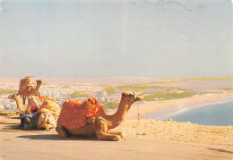 MAROC AGADIR - Agadir