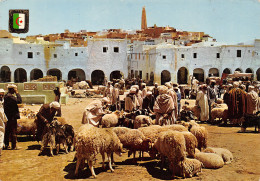 ALGERIE GARDAIA - Ghardaia