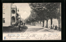 AK Ratzeburg I. Lbg., Wohngebäude In Der Möllner Chaussee  - Ratzeburg