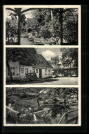 AK Elsnig, Gasthaus Vogelgesang, Bes. Ewald Seidel, Strassenansicht, Biergarten  - Other & Unclassified