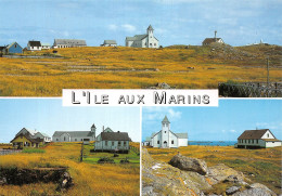 97-SAINT PIERRE ET MIQUELON ILE AUX MARINS-N°C-4348-C/0355 - Saint-Pierre E Miquelon
