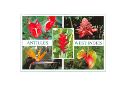 972-ANTILLES FLEURS-N°C-4348-C/0103 - Autres & Non Classés