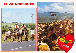 974-GUADELOUPE-N°C-4348-C/0069 - Other & Unclassified