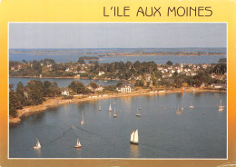 56-ILE AUX MOINES-N°C-4348-C/0059 - Ile Aux Moines