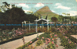 R653497 Cape Town. Rose Garden. Municipal Gardens. Showing Lions Head. Vernon Se - World