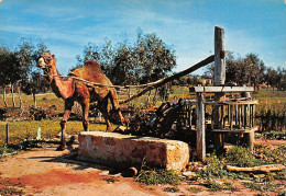 MAROC LE SUD - Sonstige & Ohne Zuordnung