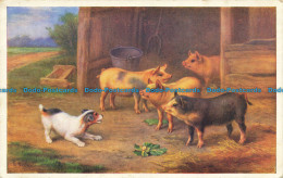 R652669 Farm. Dog With Pigs. E. Hunt. J. Salmon - World