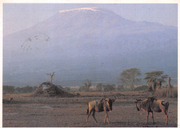 KENYA - Kenia