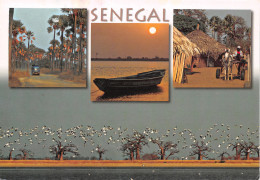 SENEGAL - Sénégal