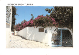 TUNISIE SIDI BOU SAID - Tunisie