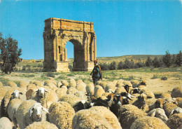 TUNISIE SBEITLA RUINES ROMAINES - Tunisie