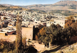 MAROC FES - Fez