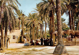TUNISIE GABES - Tunisie