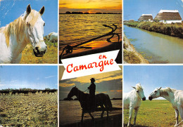 13-CAMARGUE-N°C-4349-C/0057 - Other & Unclassified