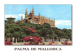 Espagne BALEARES MALLORCA PALMA - Mallorca