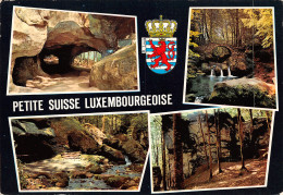 LUXEMBOURGEOISE PETITE SUISSE - Altri & Non Classificati