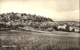 72361052 Borsberg Berg Borsberg Bei Pillnitz Borsberg Berg - Pirna