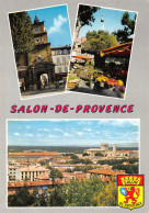 13-SALON DE PROVENCE-N°C-4350-A/0207 - Salon De Provence
