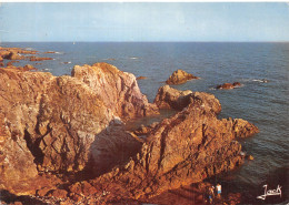 22-BRETAGNE COTE SAUVAGE-N°C-4350-A/0169 - Sonstige & Ohne Zuordnung