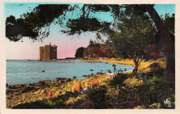 06-ILE SAINT HONORAT MONASTERE-N°5191-C/0179 - Other & Unclassified