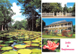 MAURITIUS PAMPLEMOUSSES GARDEN - Maurice